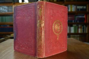 Pferd und Reiter oder die Reitkunst in ihrem ga...