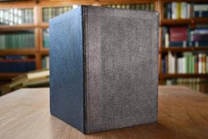 Heine und die Folgen.