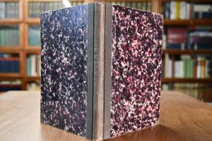 Neues Sattelungssystem dargestellt in einer mot...