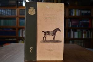 The Oldenburgh Coachhorse. 300 Years old Breed.