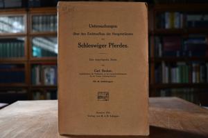 Untersuchungen über den Zuchtaufbau der Hengsts...