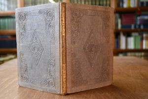 Reitschule für Damen. Nach dem Lady`s Equestria...