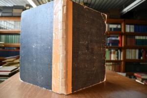 Das Pferd bei den Arabern.