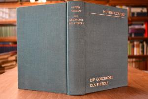 Die Geschichte des Pferdes.
