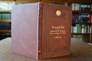 Der gesunde Hund. Naturgeschichte, Körperbau, R...