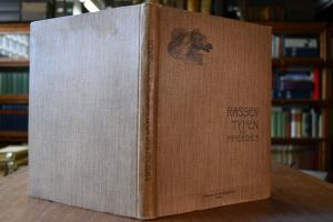 Rassen-Typen des Pferdes - Überblick über die w...