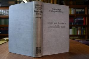 The Origin and Influence of the Thoroughbred Ho...