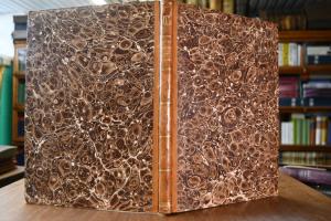 Das Schoene und Mangelhafte im Exterieur des Pf...