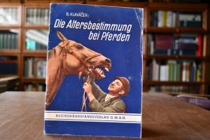 Die Altersbestimmung bei Pferden.