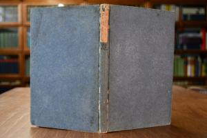 Zufälle beim Pferdekauf.