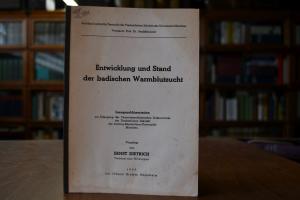 Entwicklung und Stand der badischen Warmblutzucht.