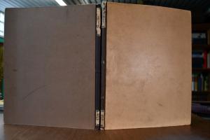 Der Deutsche Pferdezüchter. Korrespondenz-Blatt...