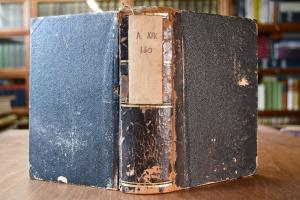 Equitations-Studien. Mit besonderer Rücksichtna...