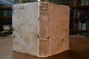 Poesie Italiane di rimatrici viventi.