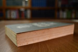 Der Grosse Imhoff. Ein Deutscher Kolonisator.