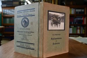 Anspannen und Fahren. Arbeit mit der Doppellong...