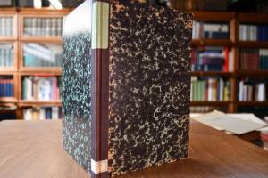 Die atmosphärische Elektrizität, ihre Vertheilu...