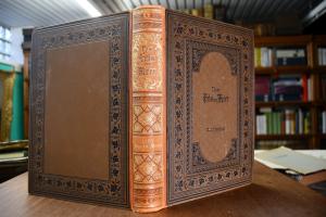 Vom Fels zum Meer. Spemann`s Illustrierte Zeits...