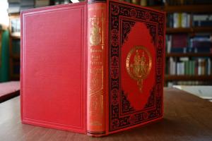 Pferd und Fahrer oder die Fahrkunde in ihrem ga...