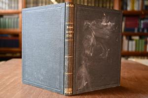 Weib und Welt. Gedichte.