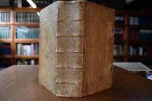 Musicalisches Halleluja, oder Schöne und geistr...