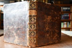 Der vollkommene Pferde-Kenner,