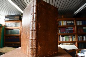 Ecole de Cavalerie contenant la connoissance, l...