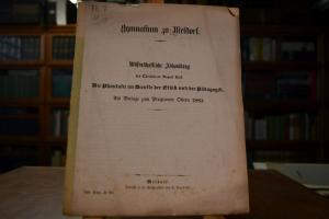 Die Phantasie im Dienste der Ethik und der Päda...