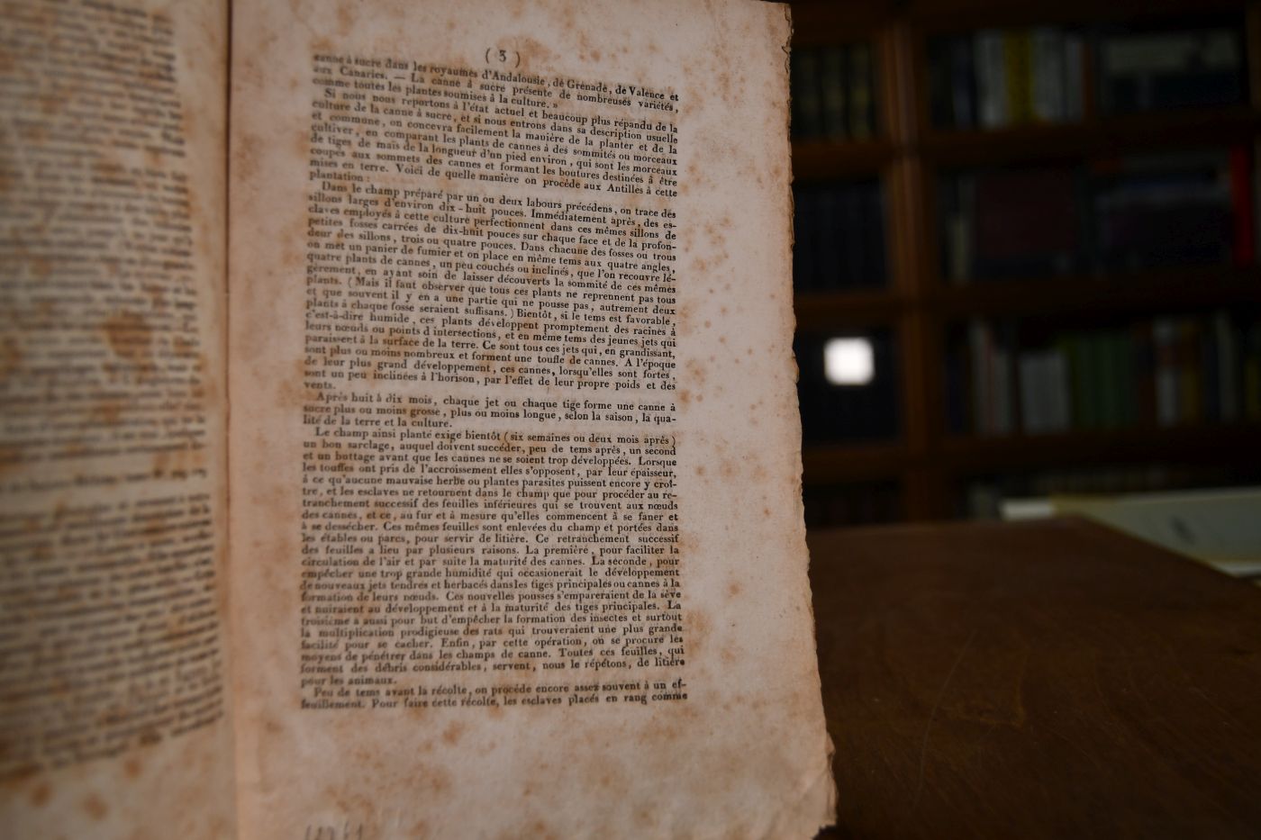 Réussite de la culture de la canne à sucre, en France, démontrée infaillible ou Précis sur la canne à sucre, sa culture, ses produits, etc. ... par un propriétaire français qui a habité pendant douze ans les Antilles