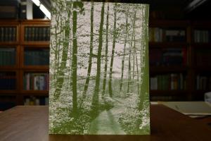 100 Jahre Verschönerungsverein Kirchheim unter ...