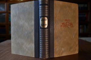 Volk im Feuer. Roman.