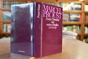 Essays, Chroniken und andere Schriften.