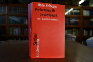 Die Grundbegriffe der Metaphysik. Welt - Endlic...