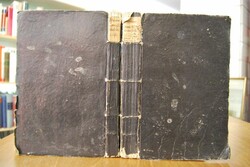 Die chronischen Krankheiten, ihre eigentümliche...