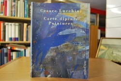 Cesare Lucchini. Carte dipinte Peintures.