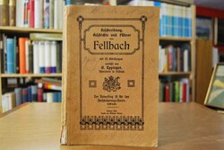 Beschreibung, Geschichte und Führer von Fellbach.