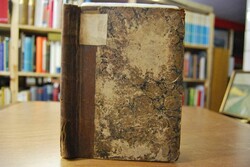 Dorothe. Ein Roman aus der brandenburgischen Ge...