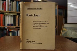 Knicken. Theorie und Berechnung von Knickstäben...