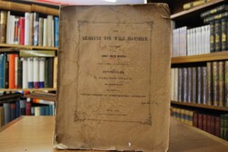 Der Grabfund von Wald-Algesheim