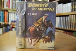 Blizzard über Montana.