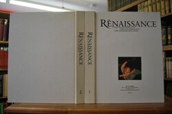 Die Renaissance im deutschen Südwesten zwischen...