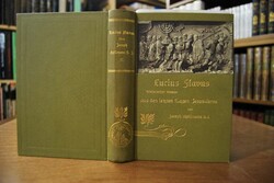 Lucius Flavus. Historischer Roman aus den letzt...