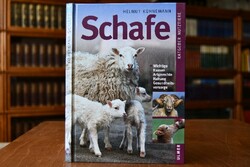 Schafe.