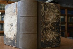 Paedagogus Latinus Germanae Juventutis, sive Le...