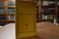 Ein Blick in`s Innere der Natur. Vortrag.