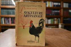 L`aviculture artisanale.