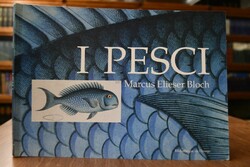 I Pesci.