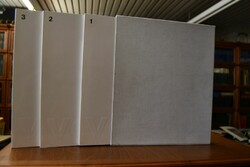 100 Jahre Voith. Erfahrung aus der Vergangenhei...