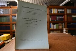 Der kritische Zustand und seine Darstellung dur...