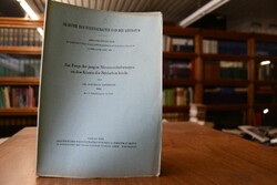 Zur Frage der jungen Niveauveränderungen an den...